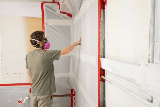 Best Emergency Mold Remediation  in West Rson, CA