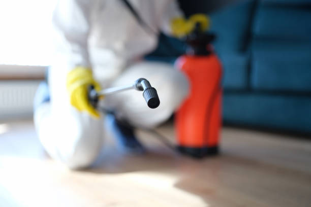 Best Environmental Consulting for Mold Prevention  in West Rson, CA